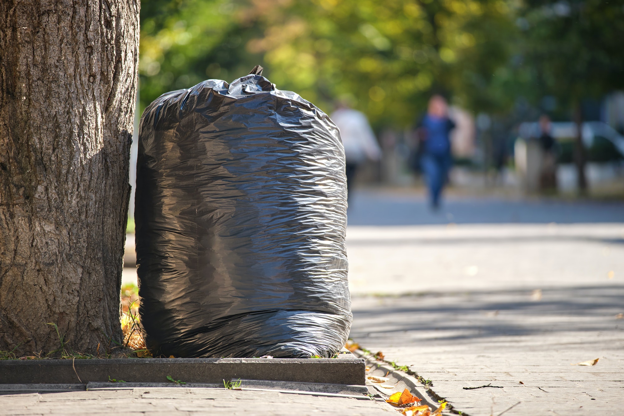 Loads of Trash Bags Sitting Out on the Curb Near a Tree with a Black Picket  Fence and Shrub Background in Urban or Stock Photo - Image of hand, trash:  263643134